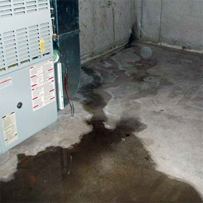 Wet basement: A wet floor due to a cracked wall