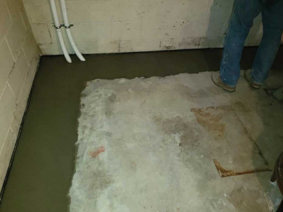 Wet basement: An expert crack-sealing professional is inspecting the foundation area of a property.